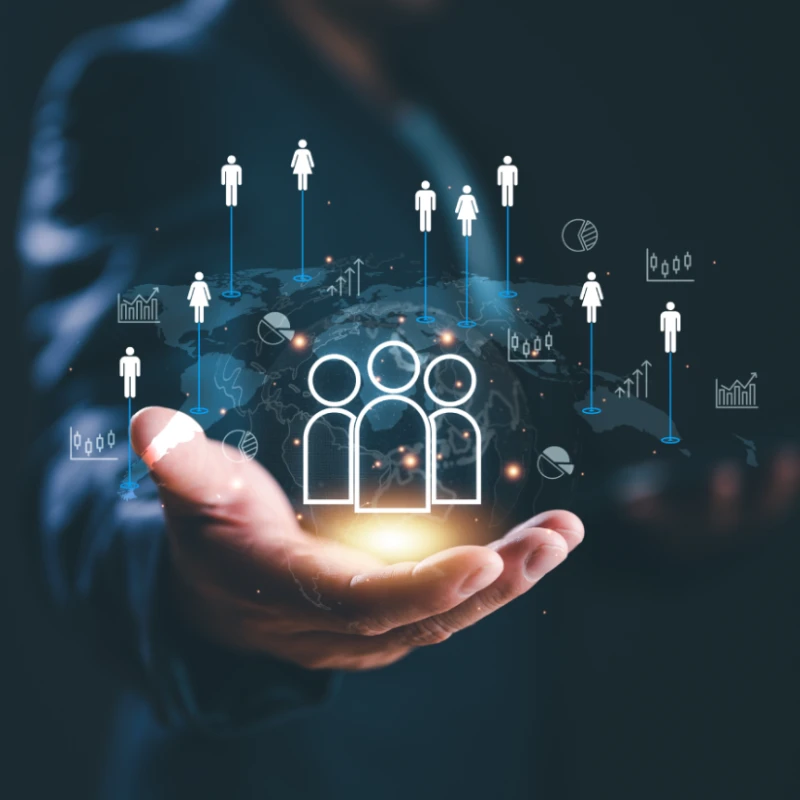 Link building qualificata